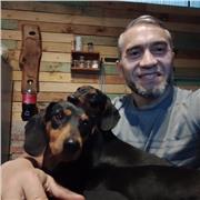 ingles on line atravez de plataformas digitales